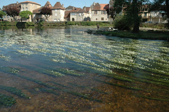 river Dordogne flowing with houses